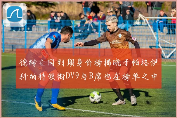 德转合同到期身价榜揭晓于帕格伊科纳特领衔DV9与B席也在榜单之中