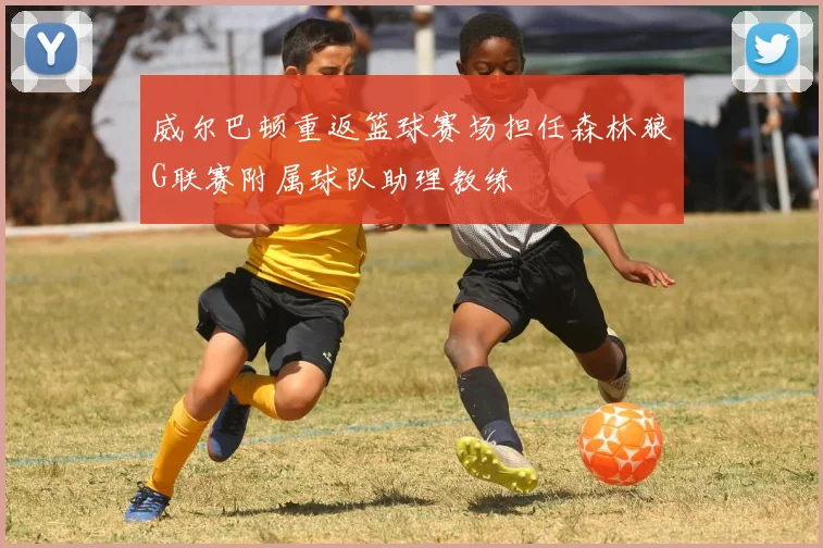 威尔巴顿重返篮球赛场担任森林狼G联赛附属球队助理教练