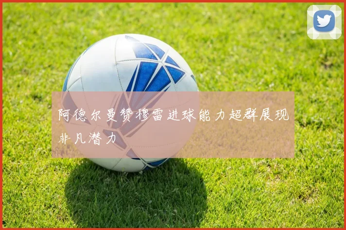 阿德尔曼赞穆雷进球能力超群展现非凡潜力