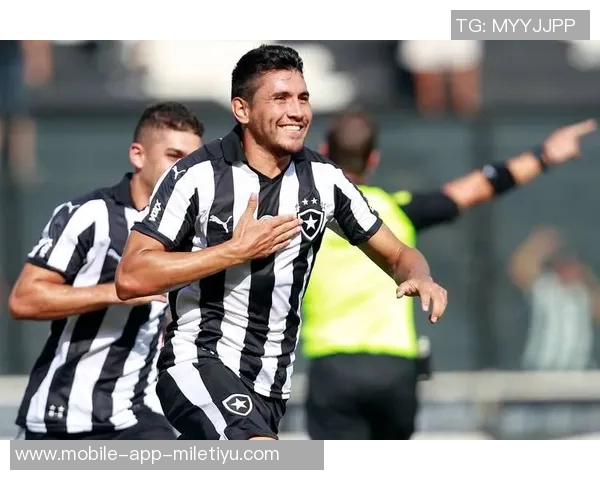 桑托斯在巴甲最后一轮以三球击败克鲁塞罗成功保级并获得南美杯资格